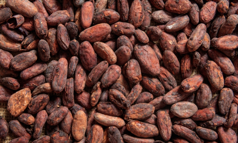 Understanding the Cocoa Market in the U.S