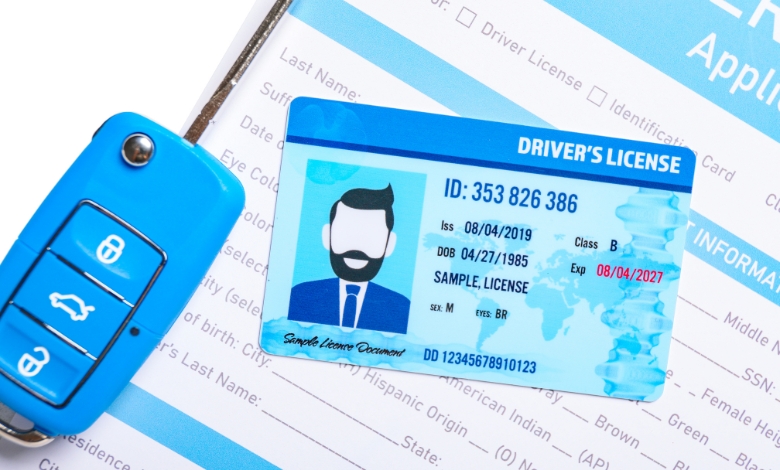 What is a DP Driver’s License