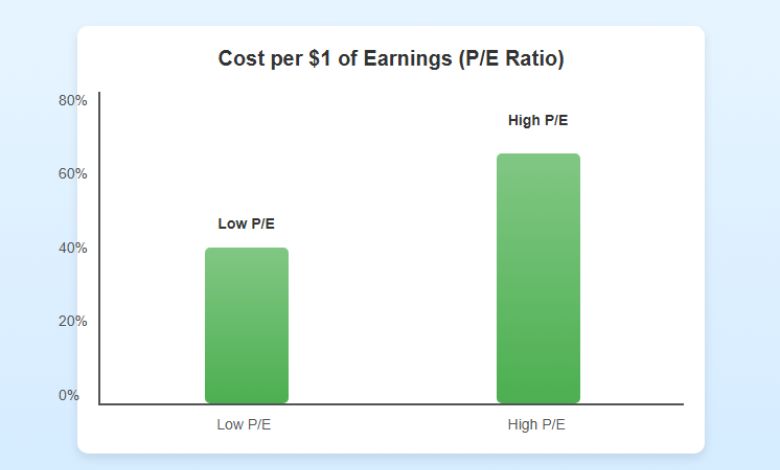 What does the P_E Ratio tell us about Risk