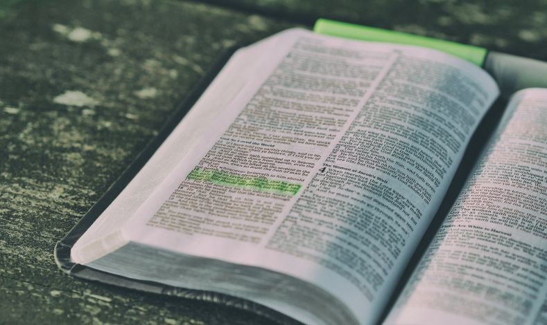 Bible Verses