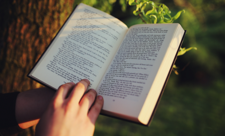 the unwanted assistant by hayley reyes