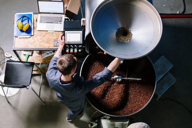 how to roast mexican chiapas in sr 500 roaster