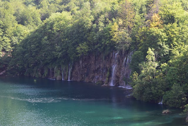 Cedar Creek Lake Water Level